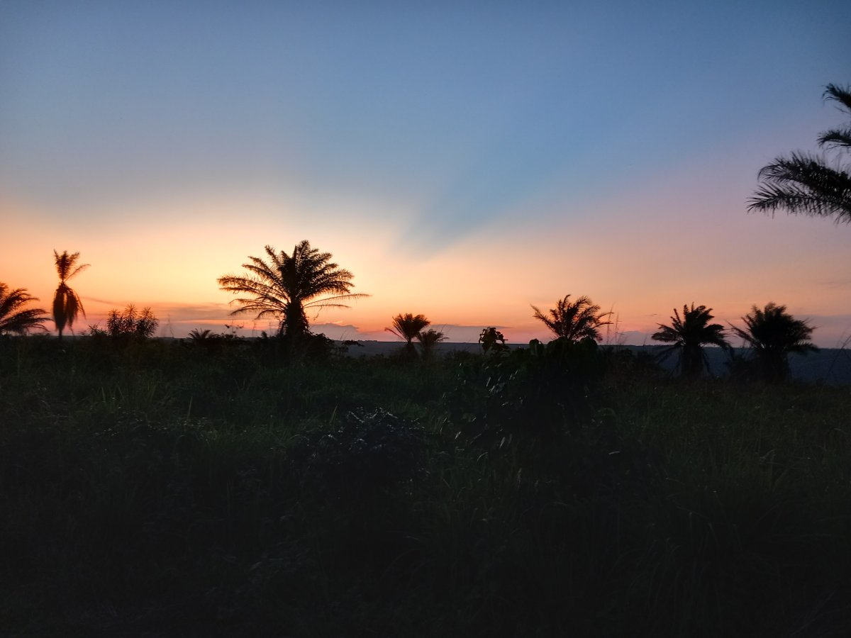  140 ha à Dumi Village RDC